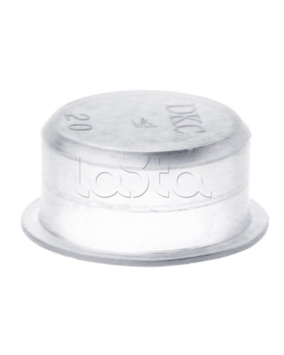 Заглушка для труб, IP40, д.25 мм DKC 50925 в Брянске Повороты, муфты, тройники Pintop.ru