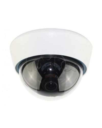 IP-камера видеонаблюдения купольная EverFocus ACE-IOV20A в Брянске IP-камеры Pintop.ru