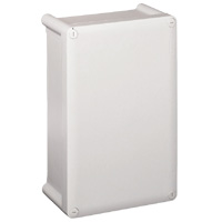 Коробка промышленная Legrand 035950
