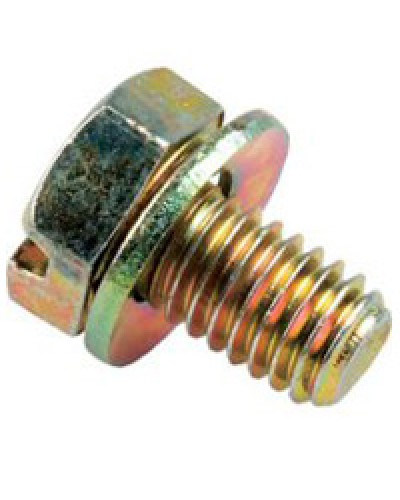 Винт с шайбой М6х10мм TH Legrand 036775 в Брянске Крепеж Pintop.ru