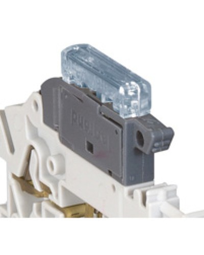 Индикатор срабатывания Legrand 037525 в Чебоксарах Аксессуары для кабель-канала Pintop.ru