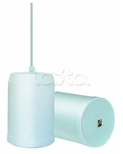 Громкоговоритель встраиваемый ROXTON SP-20T в Брянске Система оповещения и трансляции Roxton Pintop.ru